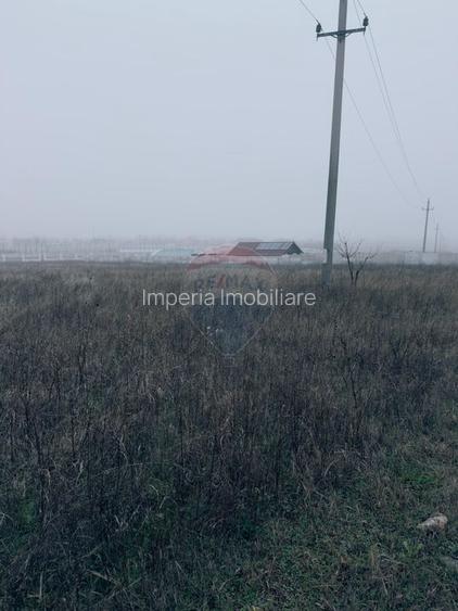 Teren 5,000mp Caracal, parcelabil, zona in dezvoltare - 8