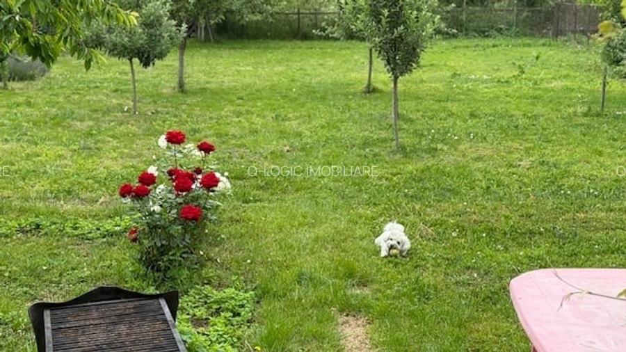 Casa 4 camere libera la vazare renovata CRISTIAN - 13