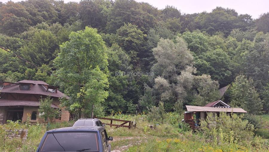 VANZARE ANSAMBLU CASUTE BRADULET ARGES - 10