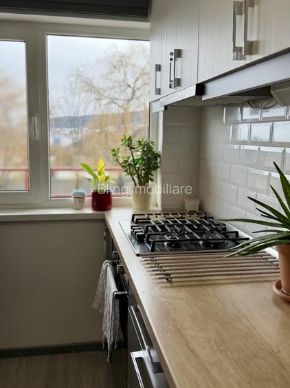 Vila /Casa cu potential in Faget ,510 mp utili - 13