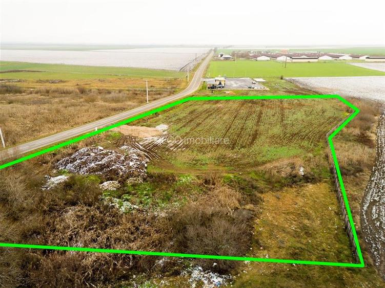 RECO . Teren extravilan  5000mp  , 110ml front . - 6