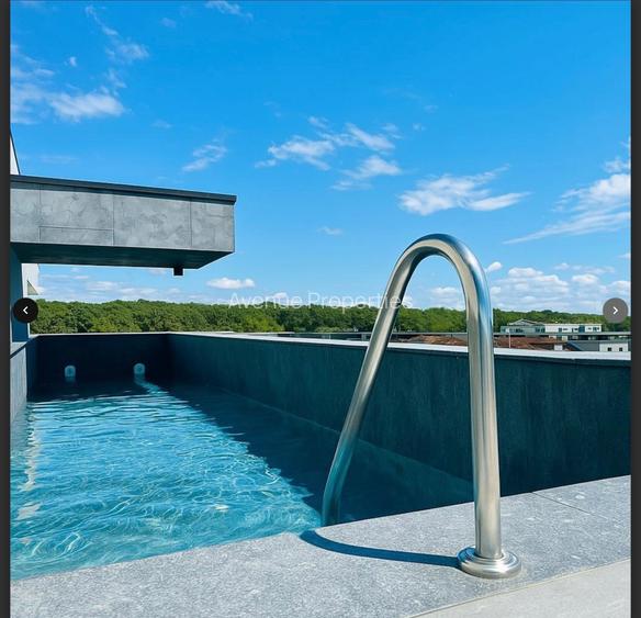 Penthouse Iancu Nicolae cu piscima - 7