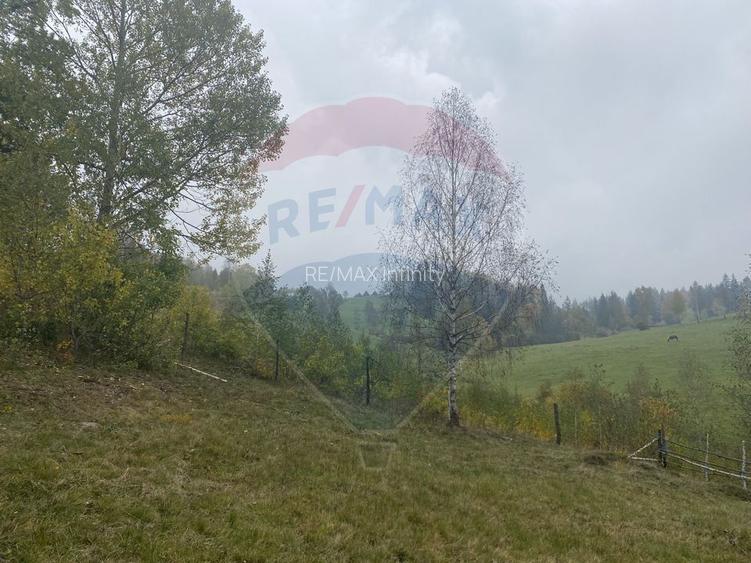 Teren de vanzare 8119 mp Calatele Padure.Muntii Apuseni - 18