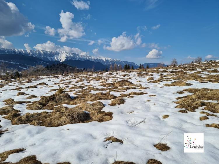 Teren De Vanzare In Sirnea - 29