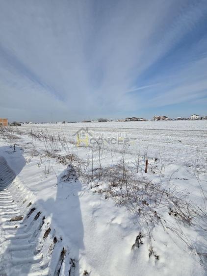 Teren ideal investitie 2 loturi  Str Calugareni-Lapusneanu - 3