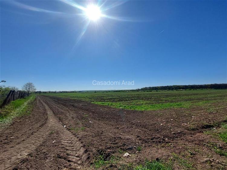 Teren pentru dezvoltare rezidentiala langa padure, in Pischia - 2