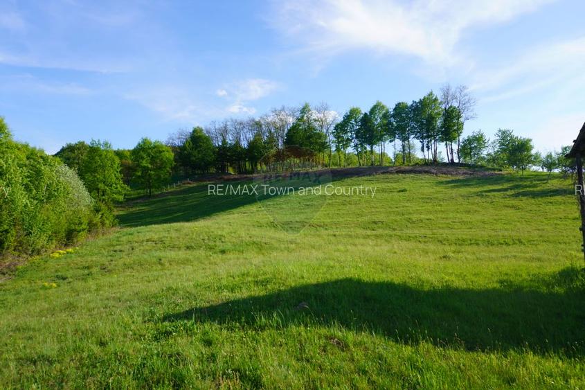 Teren 15,000mp Sighetu Marmatiei / Strada Mocanitei - 10