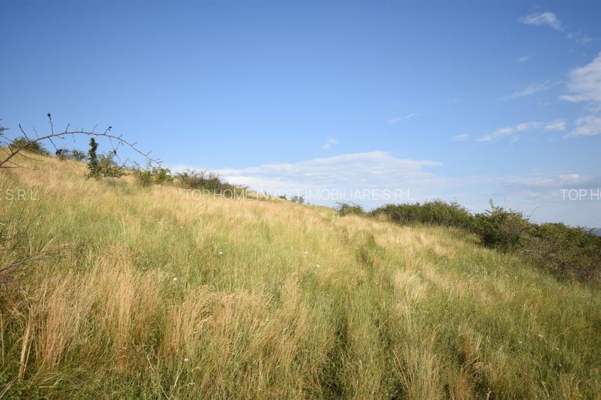 Oportunitate de investitie! Teren extravilan Chinteni! - 8