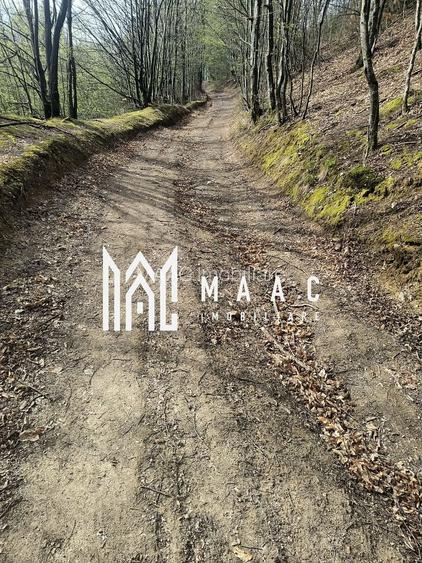 Un colt de rai in Apuseni I viața ca pe vremuri - 5