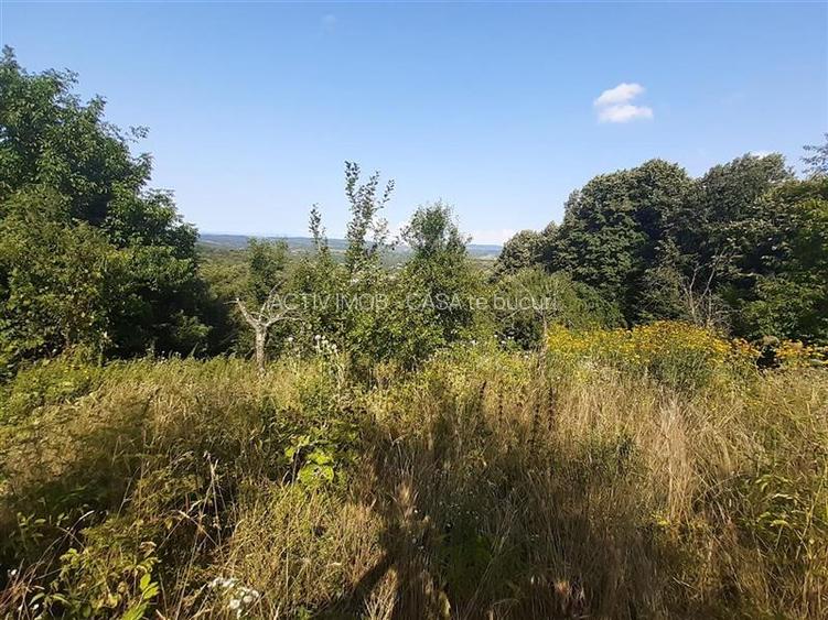 Resita Teren 5 500 Mp. Dr. Lupacului Peco Dusan - 2