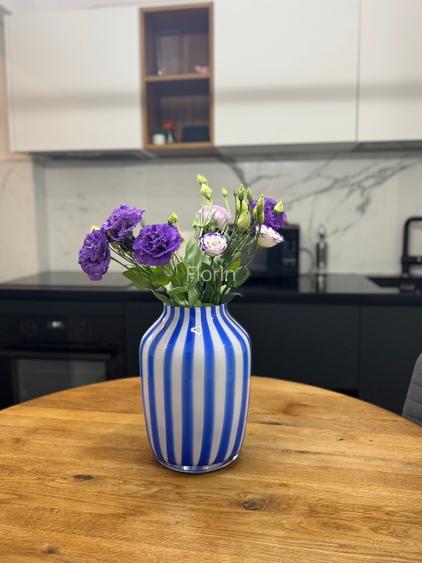 Apartament 2 dormitoare Aleea Cornisa UMF etaj 1 - 8