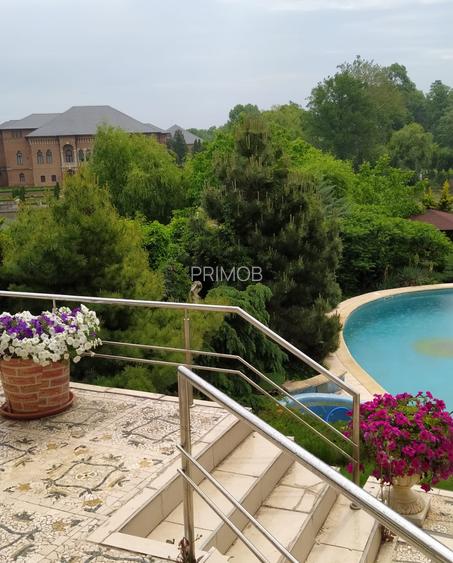 Mogosoaia vila robusta cu view unic catre palat si parc,ponton pe lac,dendrariu - 6