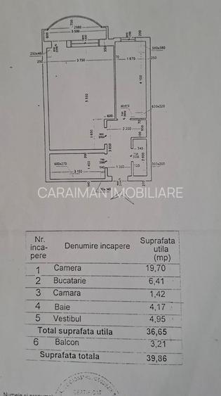 LACUL TEI, LANGA COMPLEXUL DOMINO - 2