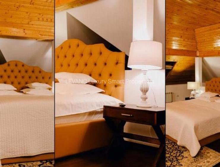 PENSIUNE 12 CAMERE - ELEGANTA SI CONFORT - 11