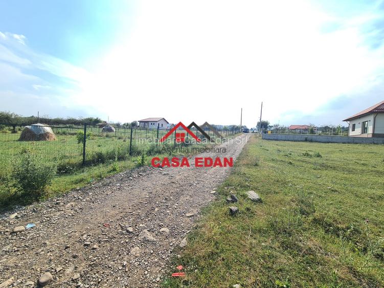 Teren intravilan in Campina, 7500mp--35e - 3