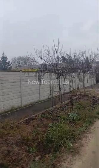 Afumati  Vanzare Suprafata 12,8 Hectare -Petrechioaia 35 000mp- Cernica 25400mp - 8