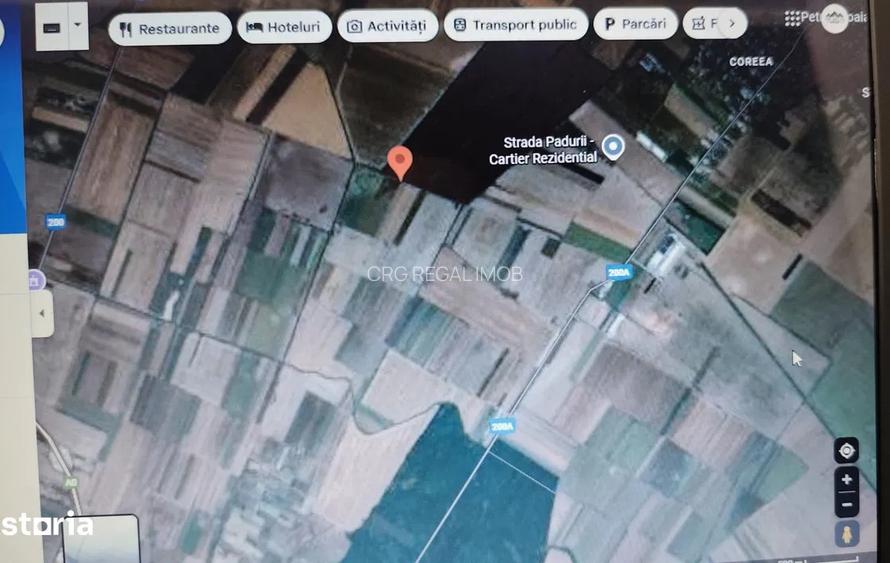 De Vanzare Teren 10.000mp Extravilan Investitie Afumati Ilfov acces facil - 4