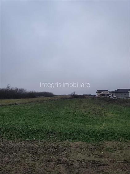 Teren intravilan in Cihei, cu PUZ aprobat, zona Fundatia Mihai Nesu - 2