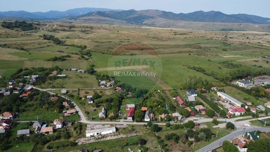 Teren 10.000 mp Calatele – Apuseni, langa rau, ideal investitie turism - 14