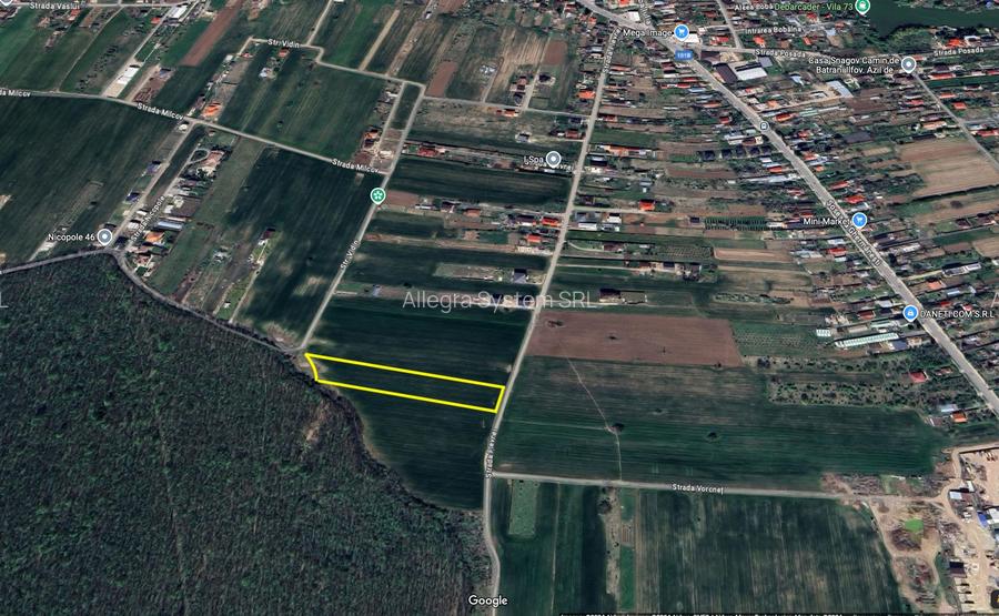 Vecin cu padurea - str. Plevnei - 3