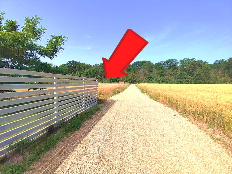 2x Intravilane la marginea Pădurii, zonă Superbă și Liniștită, sat Cultural - 2