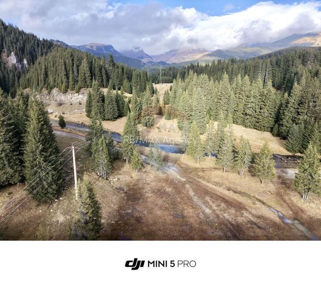 Teren de vanzare - 5000 mp - Peștera Padina - 6