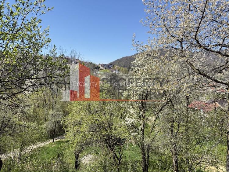 Teren 2500 mp Sohodol - 15