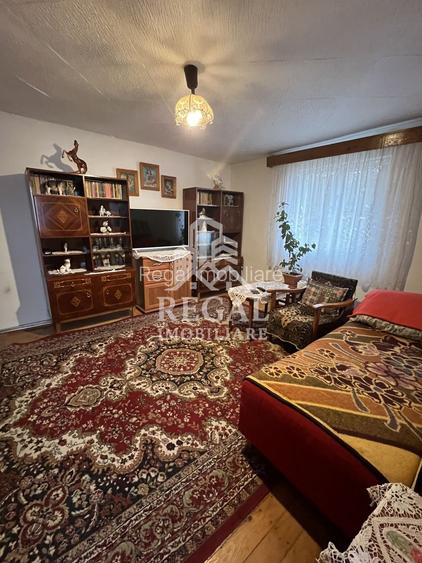 Două case individuale de vânzare în Teliuc –ideale pentru două familii - 15