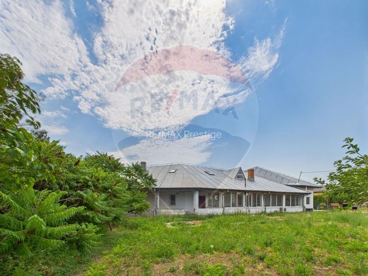 Proprietate speciala Dragomiresti Deal -Teren 15000 mp - 4