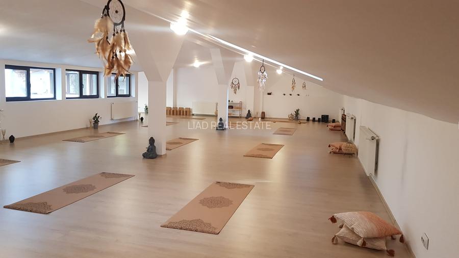 Studio sau birouri mansarda Universitate - strada Sfintilor 6 - 17