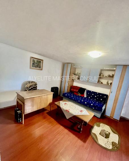 CASA MOARA GRECILOR,VASLUI - 4