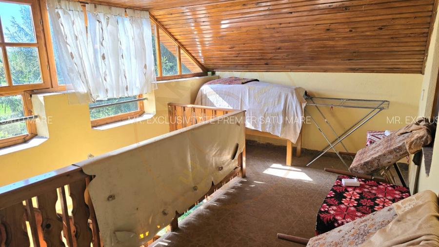 casa 3 camere Viile Satu Mare - 7