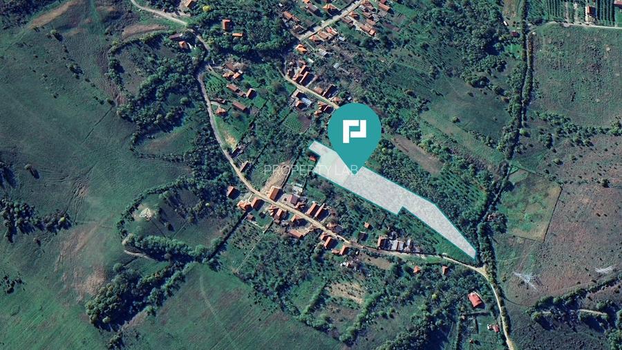 Teren fâneață lângă pădure - Hunedoara - 3