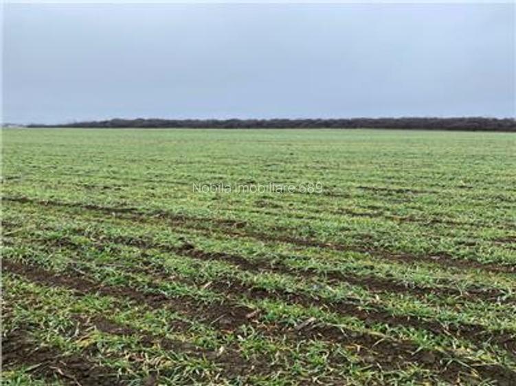 Teren Intravilan 28.000 mp în One?ti – pentru Investi?ii Industriale si  Co - 2