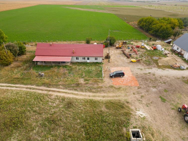 Teren intravilan cu iazuri și casă - Chișineu-Criș - 30