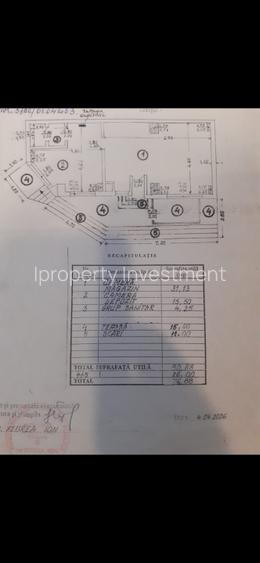 Spatiu Comercial | Panduri | Vad Pietonal - 5