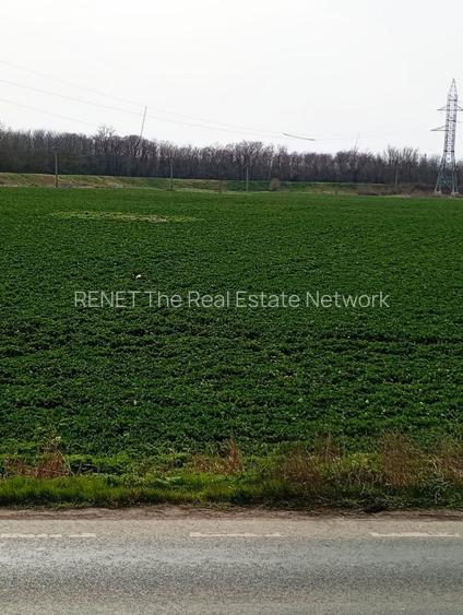 Teren intravilan 5.000 m² cu 40 m deschidere la DN2A – lângă Kaufland Slobozia