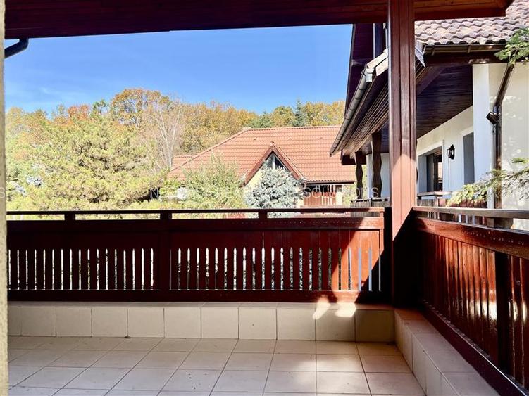 Vila la marginea padurii | curte superba | Iancu Nicolae - 41