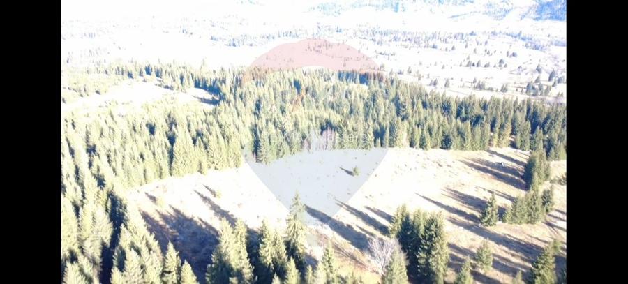 Teren 16,289mp Coverca / Drumul Bucinis - 3