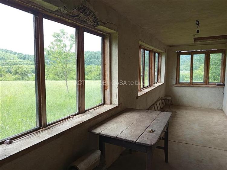 Borlovenii Noi, Teren Drept, 16000mp, la Limita Localitatii - 20