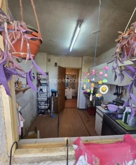 Teiul Doamnei-strada Otesani-apartament 3 camere - 6