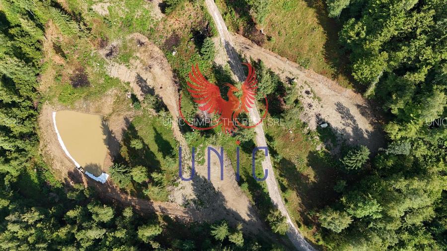 18000 mp de natura pura ,Lupeni, langa Straja - 18