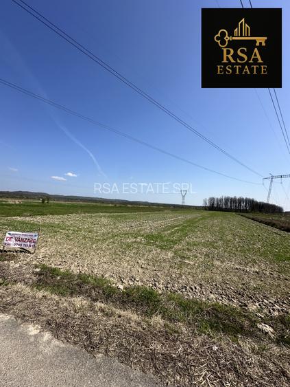 Teren de vânzare 4760Mp Stoilesti - 8