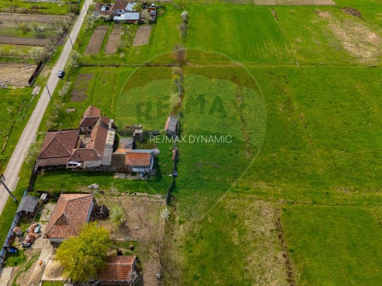 Casă cu teren 4500mp de vanzare in Carand Jud. Arad - 24