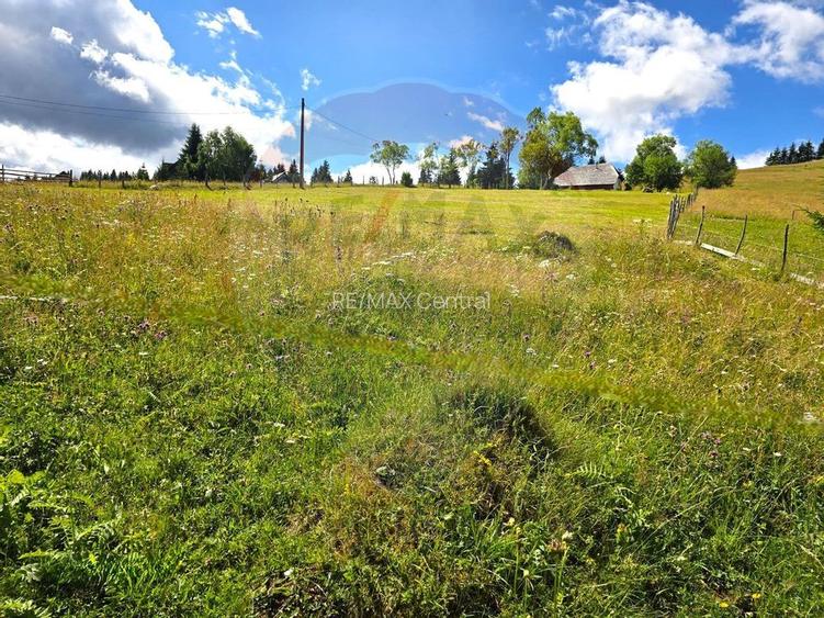 Teren de vis în Fundata 1934mp sau 3868mp, la înălțimea sufletului tău - 11