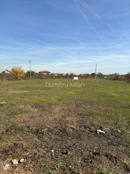 Loturi teren 638 mp; 638 mp; 664 mp de vânzare  Clinceni- Bragadiru  - 5