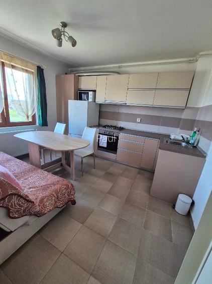 Proprietar inchiriez ap cu 1 camera - 7