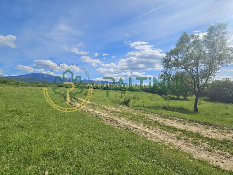 Teren de vânzare în Racovița, Sibiu – Valea Lupului - 5