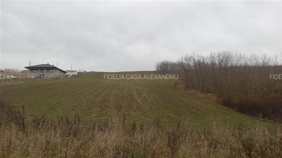 Teren constructii case Rediu - 3