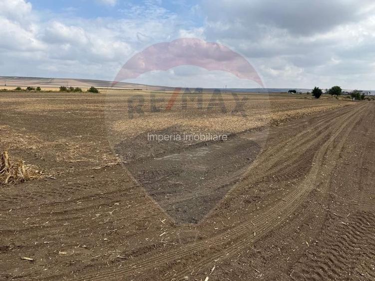 Teren Isalnita 424mp - 4